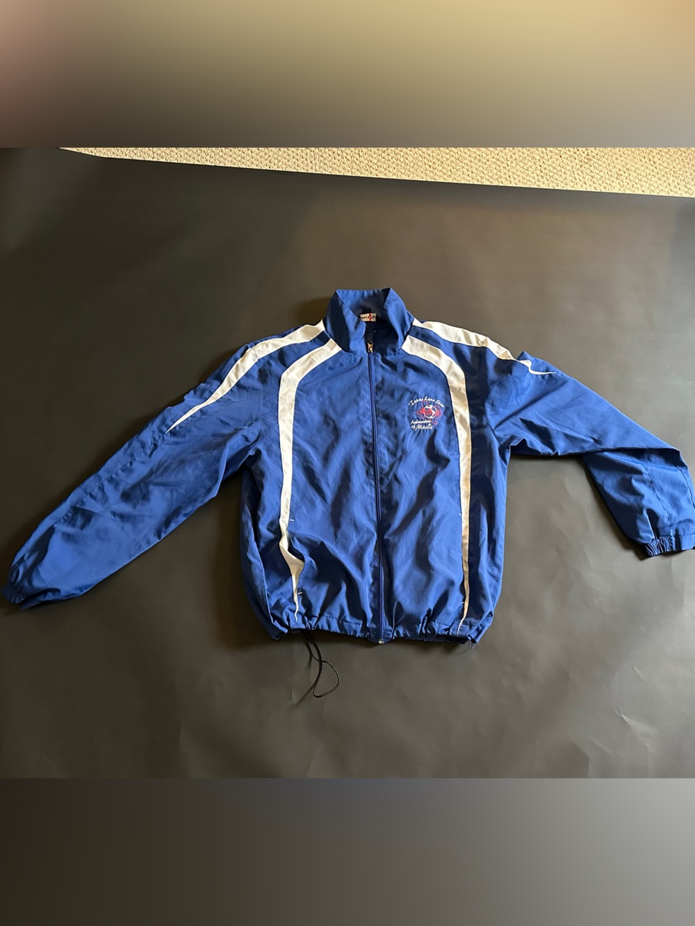 Vintage Aesthetic Royal Blue & White Windbreaker Track Jacket